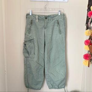 Vintage Express Cargo Crops